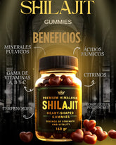 GOMAS SHILAJIT PREMIUM ORIGINAL     2 POR 1