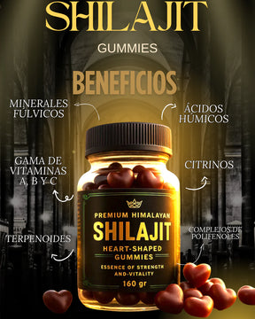 GOMAS SHILAJIT PREMIUM ORIGINAL     2 POR 1